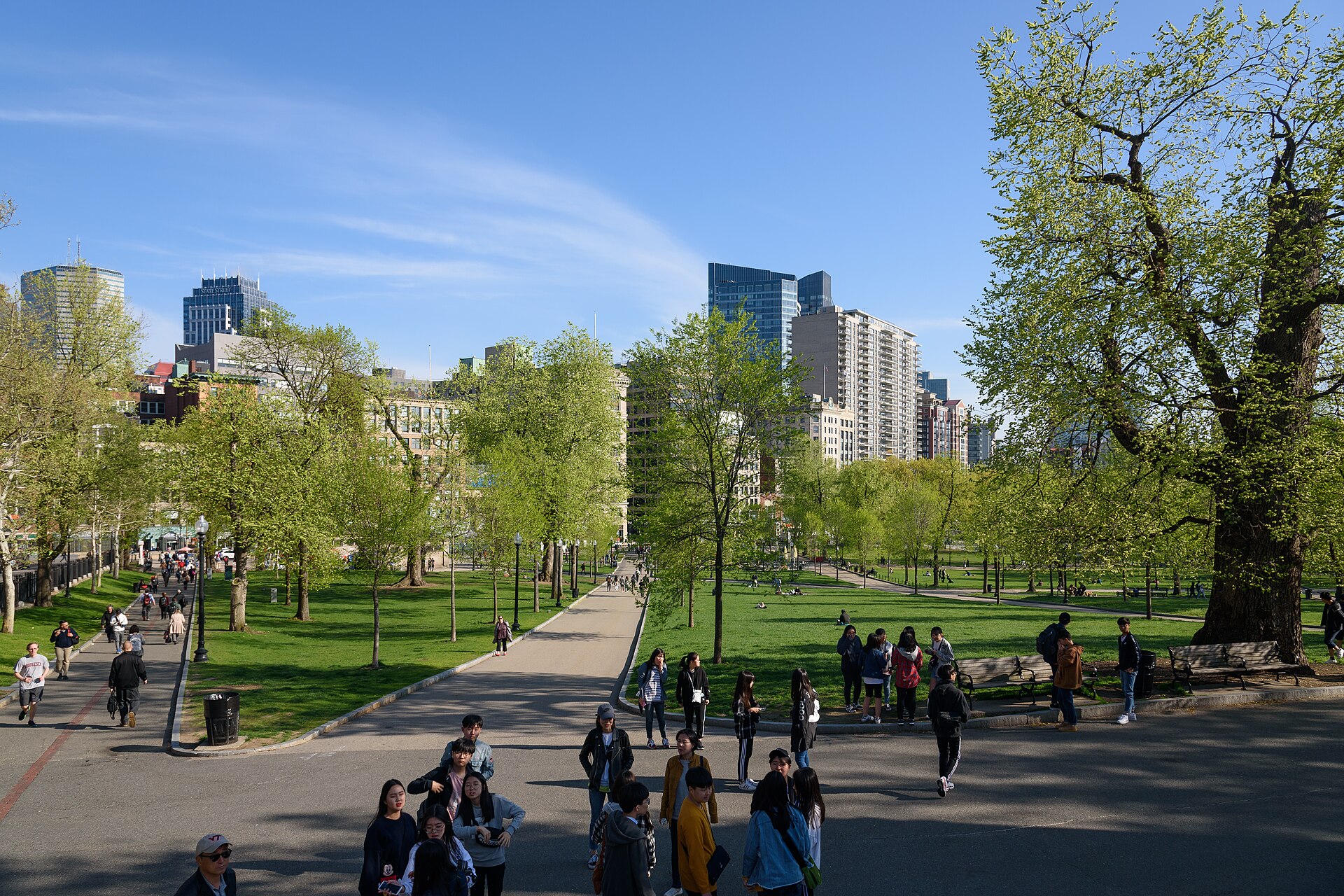 A lawn and path in Boston Common park